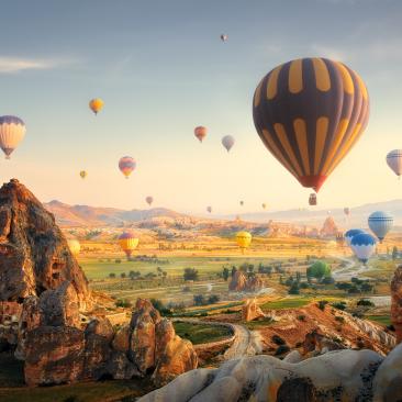 turkey