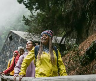 A group of Travellers