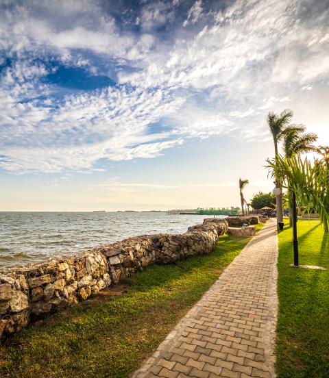 Sun setting behind tropical palm trees, drawing warm shadows on the meadow next to the shoreline of Lake Victoria. A pedestrian walkway leading the way along the shore