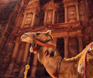 Petra